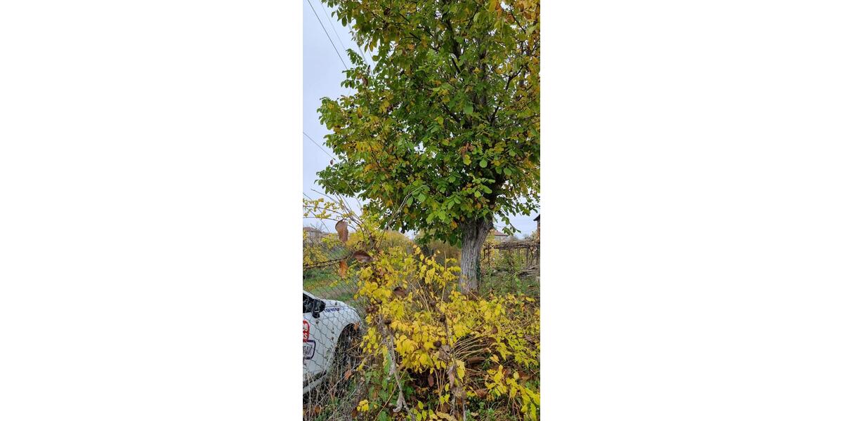 Einfamilienhaus Heuchelheim a. d. Lahn - 5 Zimmer, 100 m&sup2;, 70.000&euro; | Angebot:26129845