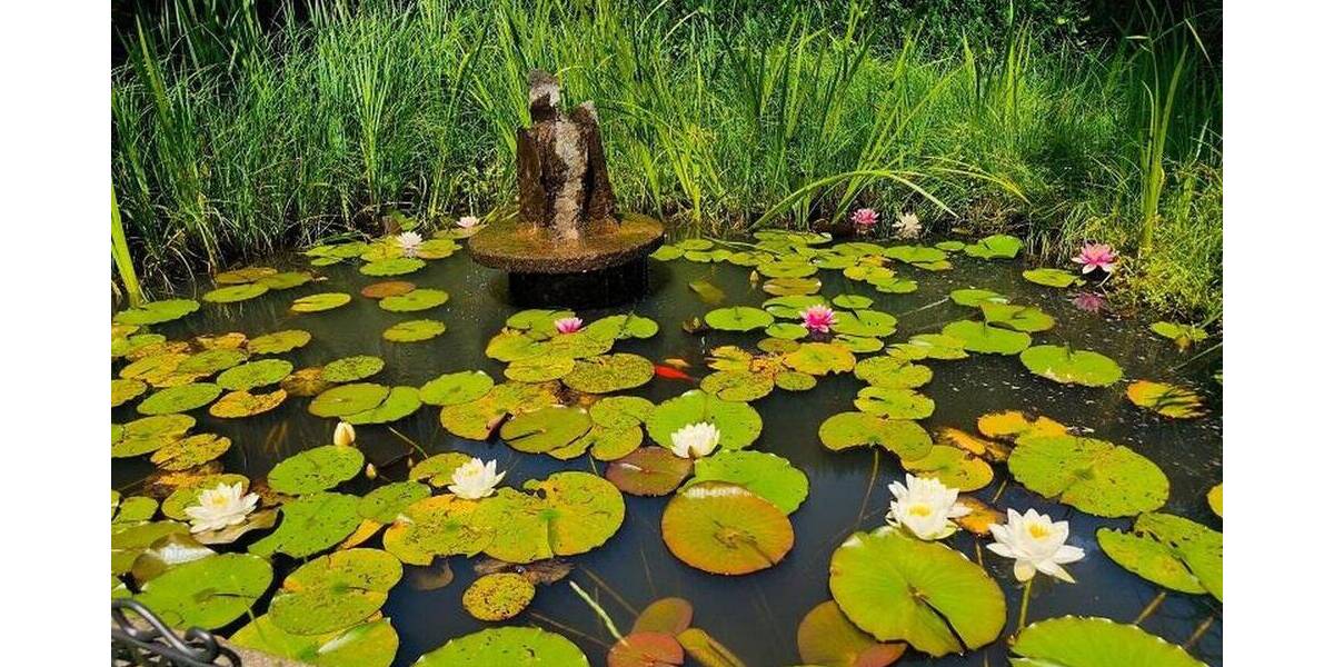 Einfamilienhaus Mengerskirchen-Dillhausen Dillhausen - 8 Zimmer, 283 m&sup2;, 512.000&euro; | Angebot:26023384