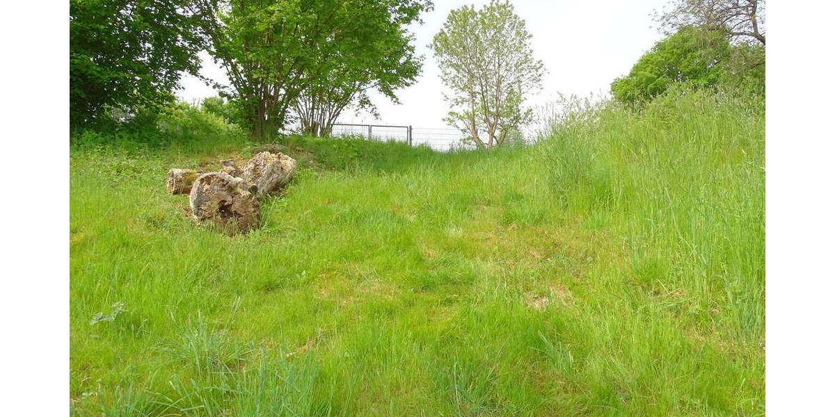 Grundstück Weilrod Niederlauken - 80.000&euro; | Angebot:25672924