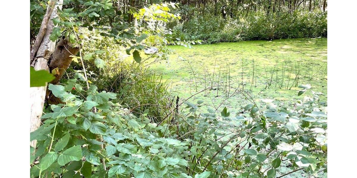 Grundstück Herborn - 38.500&euro; | Angebot:25834959