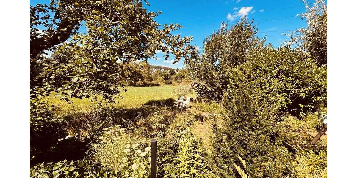 Großes Anwesen mit vielen Möglichkeiten im Grünen - Anwesen Ehringshausen | Angebot:26738021