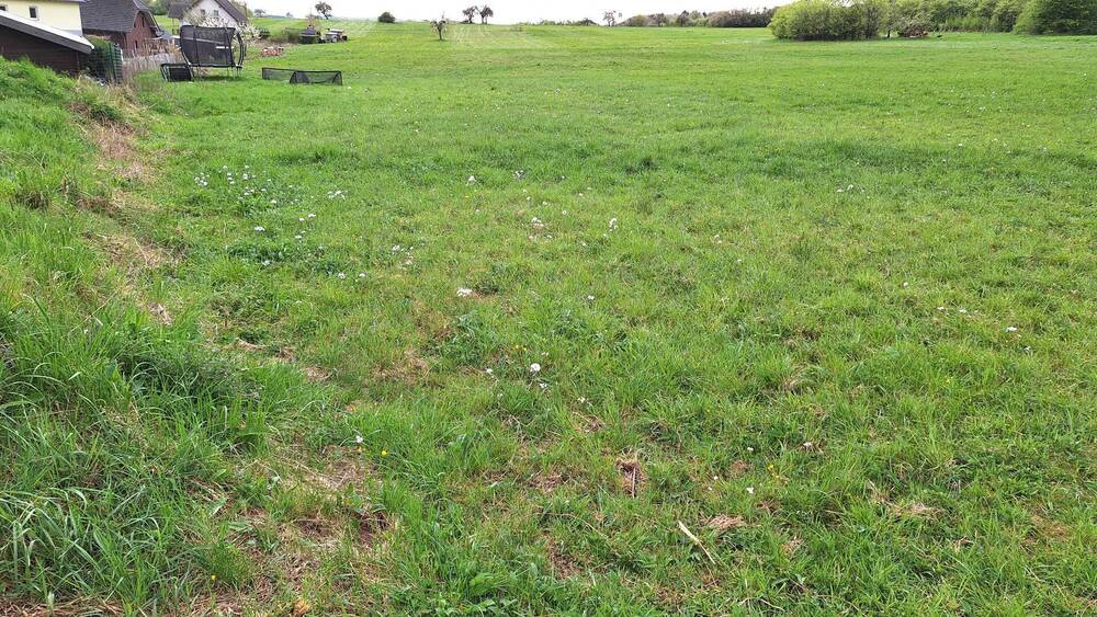 Grundstück Oberrod - 39.500&euro; | Angebot:25691873