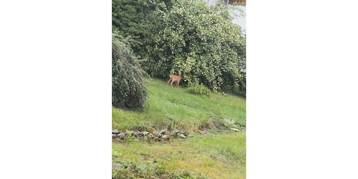 Einfamilienhaus Weilmünster - 4 Zimmer, 100 m&sup2;, 253.000&euro; | Angebot:25932347