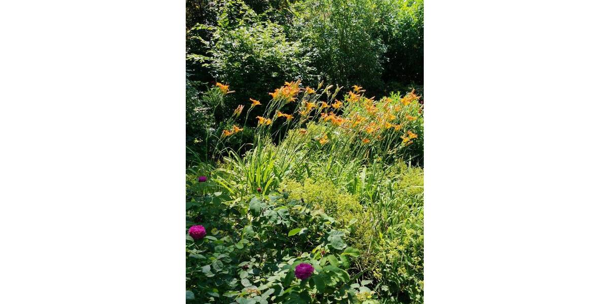 Einfamilienhaus Weilburg Ahausen - 3 Zimmer, 70 m&sup2;, 189.000&euro; | Angebot:25682152