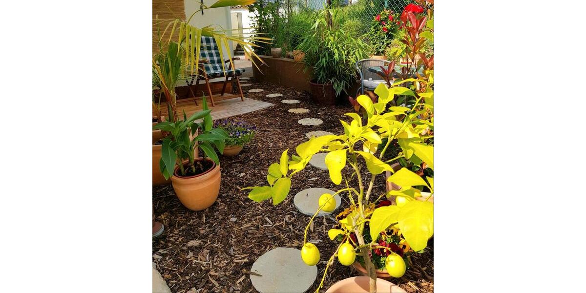 Einfamilienhaus Sinn - 5 Zimmer, 120 m&sup2;, 265.000&euro; | Angebot:26233983