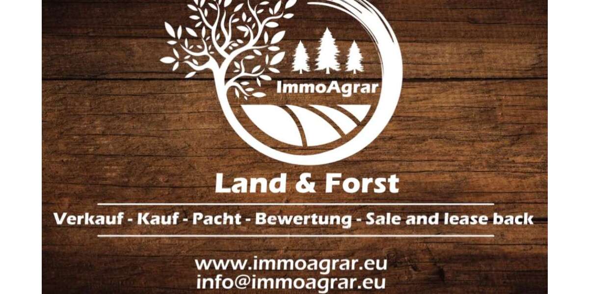 Grundstück Niederscheld Niederscheld - 6.000&euro; | Angebot:24615490