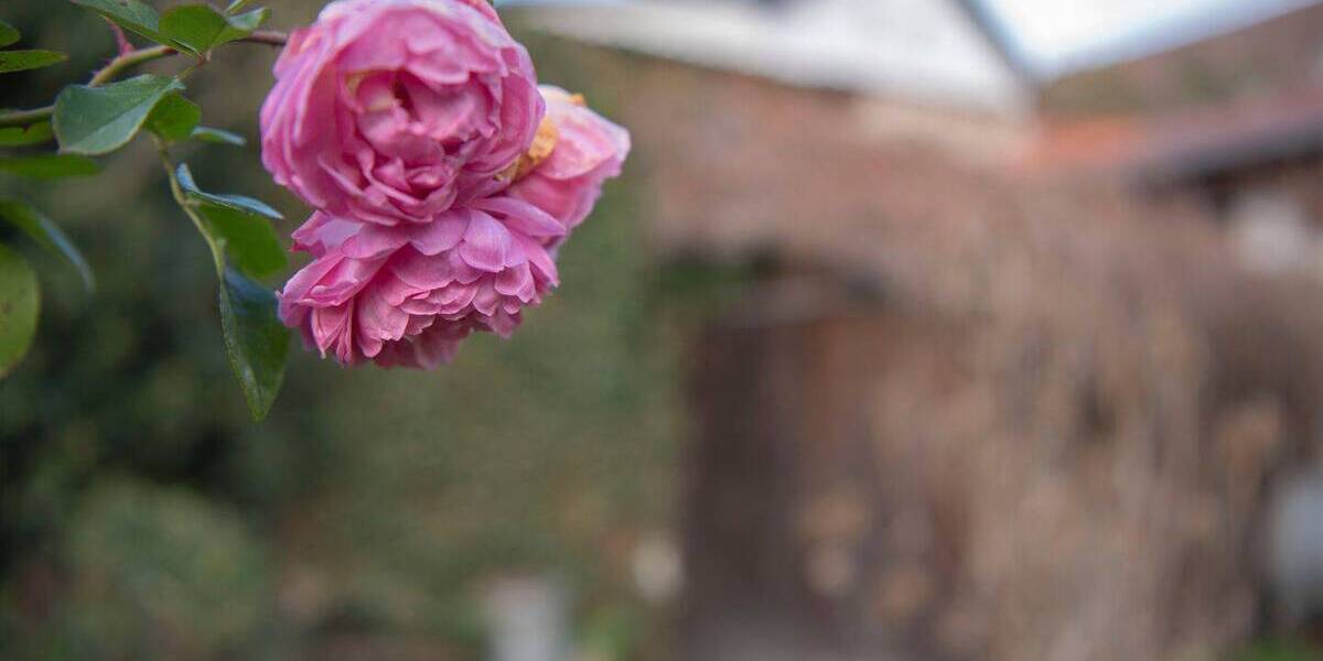 Einfamilienhaus Grävenwiesbach Hundstadt - 8 Zimmer, 161 m&sup2;, 495.000&euro; | Angebot:25985869