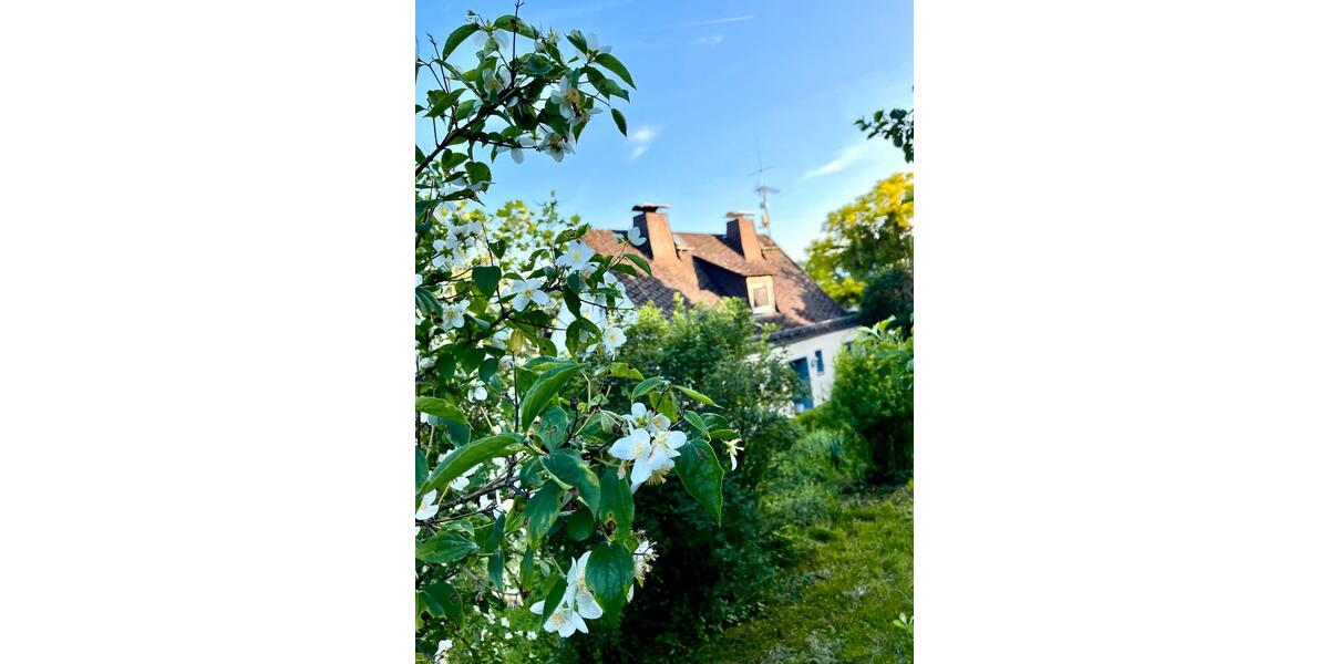 Einfamilienhaus Weilmünster - 4 Zimmer, 100 m&sup2;, 253.000&euro; | Angebot:25932347