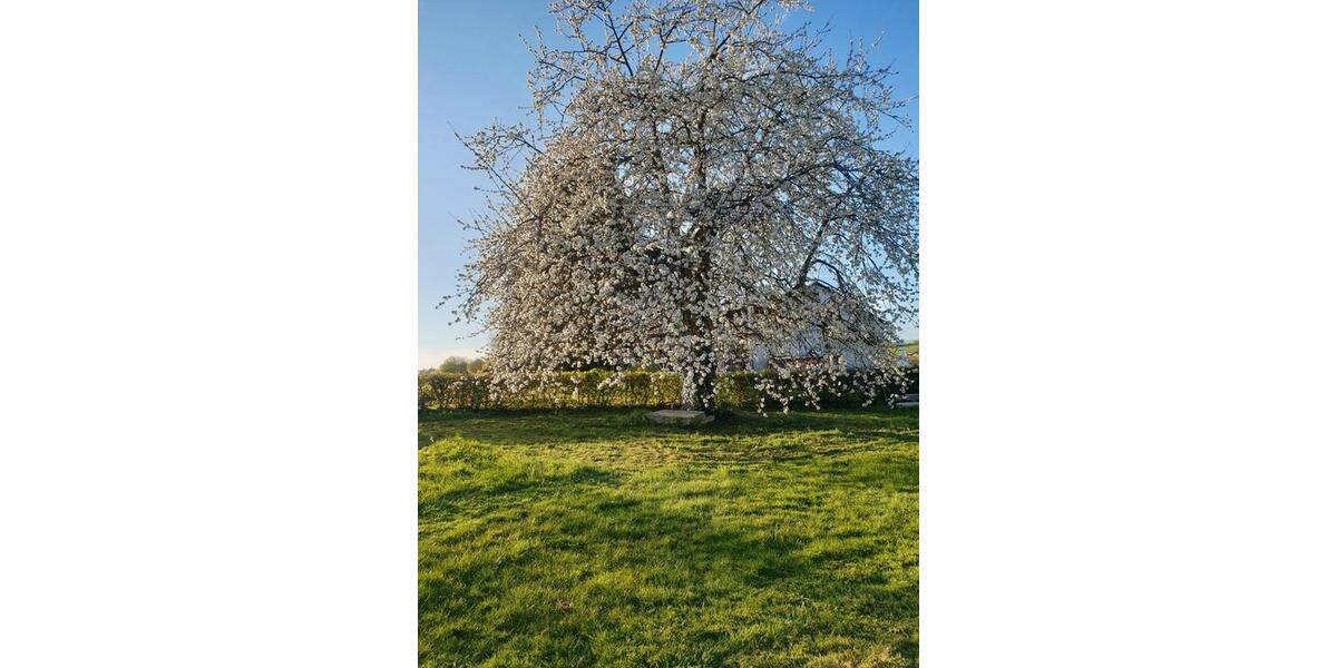 Bauernhaus, Landhaus Weilburg - 6 Zimmer, 160 m&sup2;, 382.000&euro; | Angebot:26165111