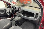 Fiat Panda Cross Red 1.0 Hybrid 1.Hand Neuwertig! 1.600 km 13.740 &euro; Lich 35423