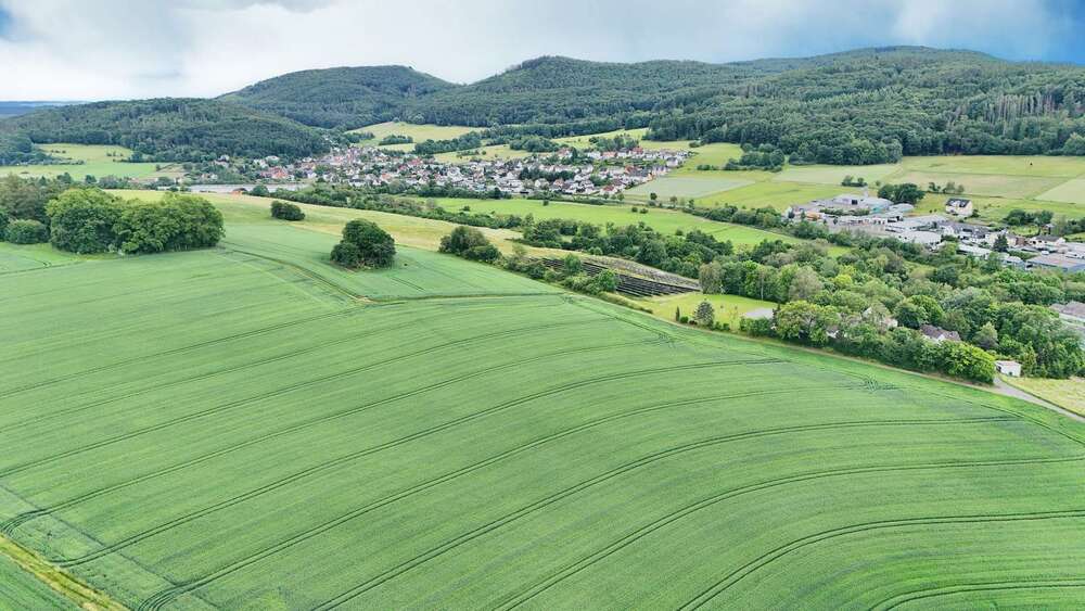 Sonniges Einfamilienhaus mit Garten in Gladenbach OT - Einfamilienhaus Gladenbach | Angebot:26882614
