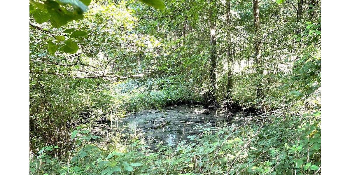 Grundstück Herborn - 38.500&euro; | Angebot:25834959