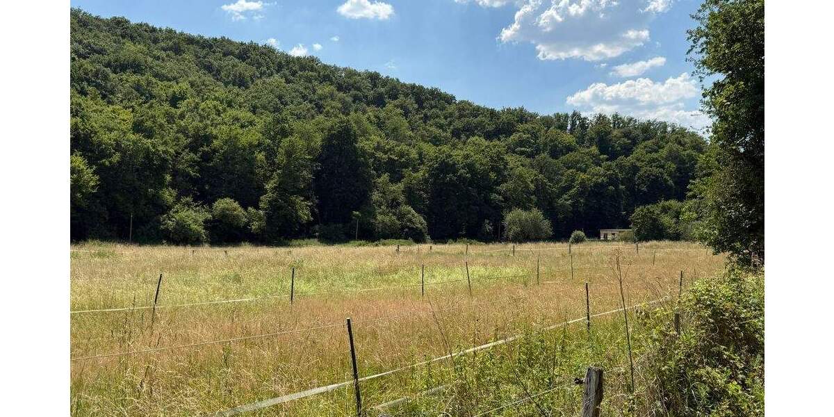 Einfamilienhaus Runkel / Schadeck Schadeck - 1 Zimmer, 472 m&sup2;, 395.000&euro; | Angebot:25735232