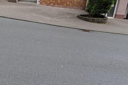 Gewerbeobjekt Weilburg - 990&euro; | Angebot:19068866