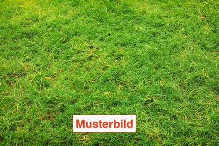 Grundstück Bad Nauheim - 299.000&euro; | Angebot:26268481