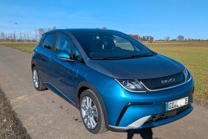BYD DOLPHIN 37.500 km 22.999 &euro; Staufenberg 35460