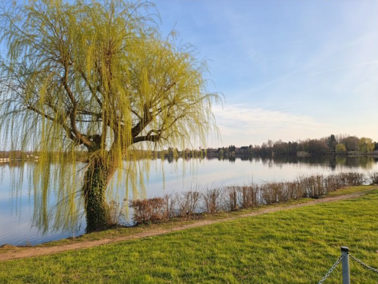 Juwel am See – traumhaftes Feriendomizil mit Teilungspotential - Ferienhaus Hungen Inheiden | Angebot:26443413