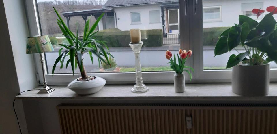 Erdgeschoßwohnung Haiger - 2 Zimmer, 75 m&sup2;, 650&euro; | Angebot:25650728