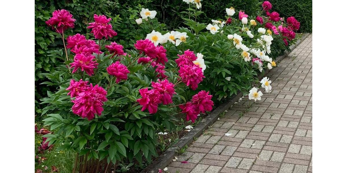 Etagenwohnung Aßlar - 3 Zimmer, 90 m&sup2;, 950&euro; | Angebot:26256106