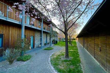 Wohnung Lich - 4 Zimmer, 96 m&sup2;, 425.000&euro; | Angebot:26017198