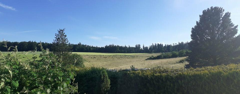 Einfamilienhaus Usingen - 7 Zimmer, 130 m&sup2;, 287.908&euro; | Angebot:9302287