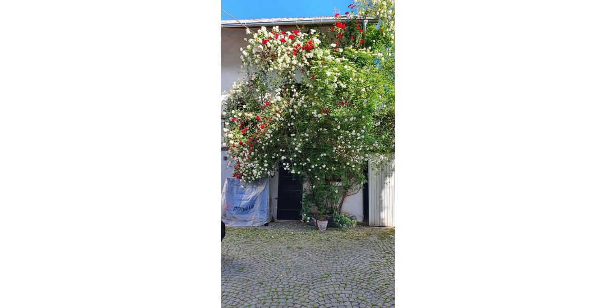 Einfamilienhaus Runkel - 7 Zimmer, 210 m&sup2;, 289.000&euro; | Angebot:25258962