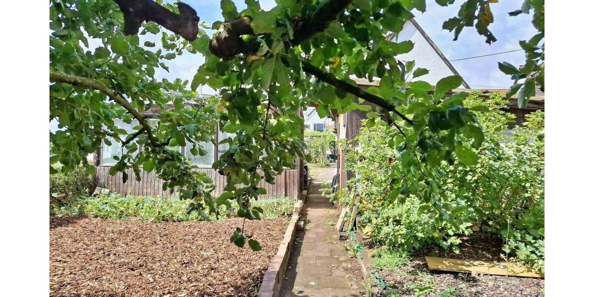 Einfamilienhaus Lich - 9 Zimmer, 245 m&sup2;, 330.000&euro; | Angebot:25685936