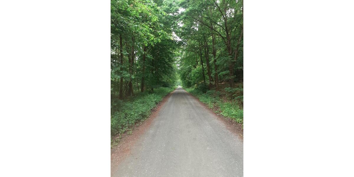 Einfamilienhaus Usingen - 7 Zimmer, 130 m&sup2;, 287.908&euro; | Angebot:9302287