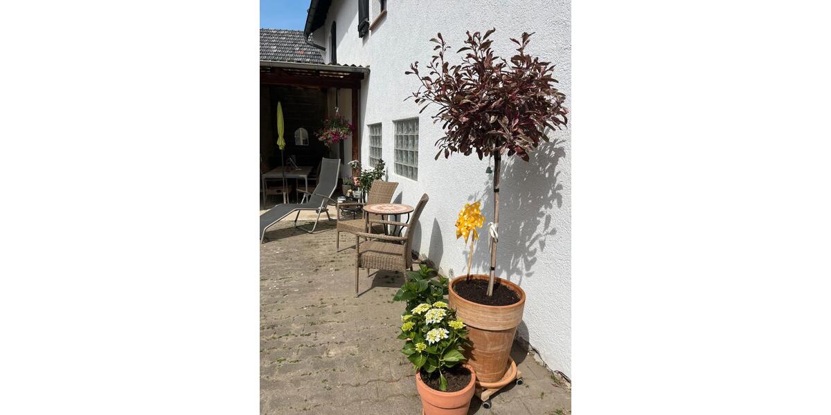 Einfamilienhaus Ober-Mörlen Mörlen - 5 Zimmer, 114 m&sup2;, 529.000&euro; | Angebot:26527058