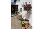 Einfamilienhaus Ober-Mörlen Mörlen - 5 Zimmer, 114 m&sup2;, 529.000&euro; | Angebot:26527058