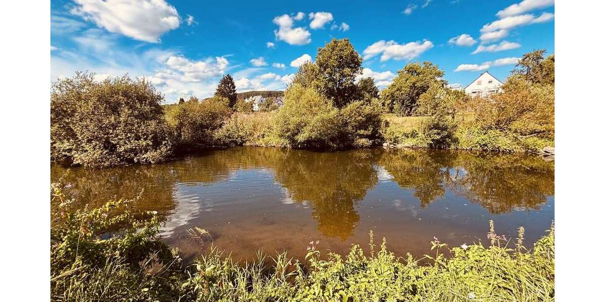 Großes Anwesen mit vielen Möglichkeiten im Grünen - Anwesen Ehringshausen | Angebot:26738021