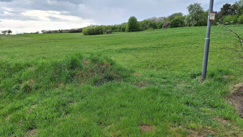 Grundstück Oberrod - 39.500&euro; | Angebot:25691873