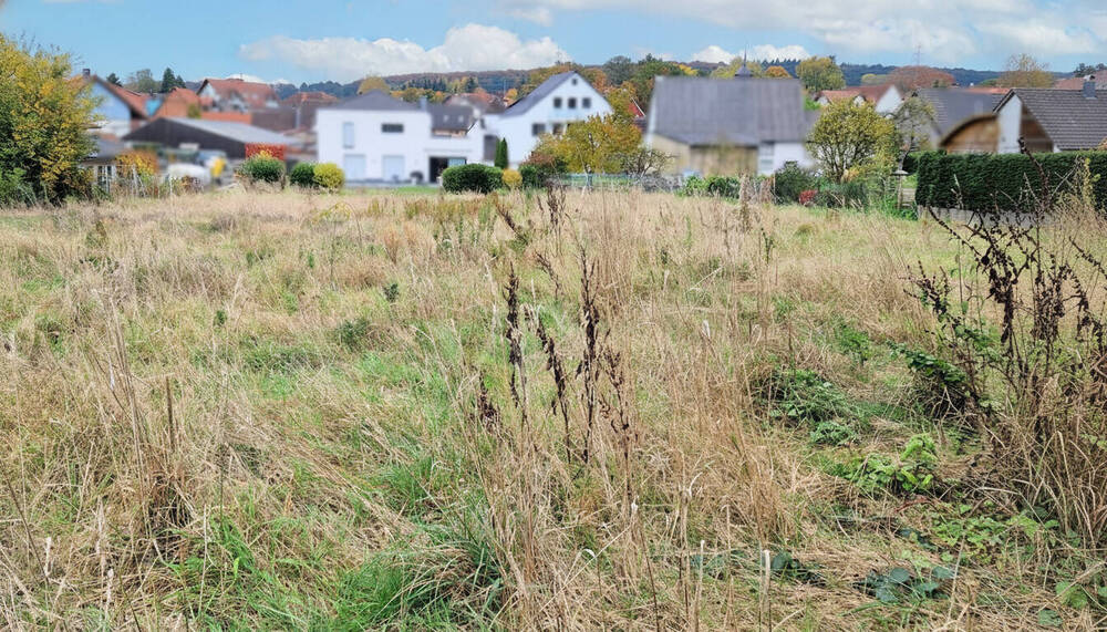 Grundstück Neu-Anspach / Westerfeld Anspach - 590.000&euro; | Angebot:26258958