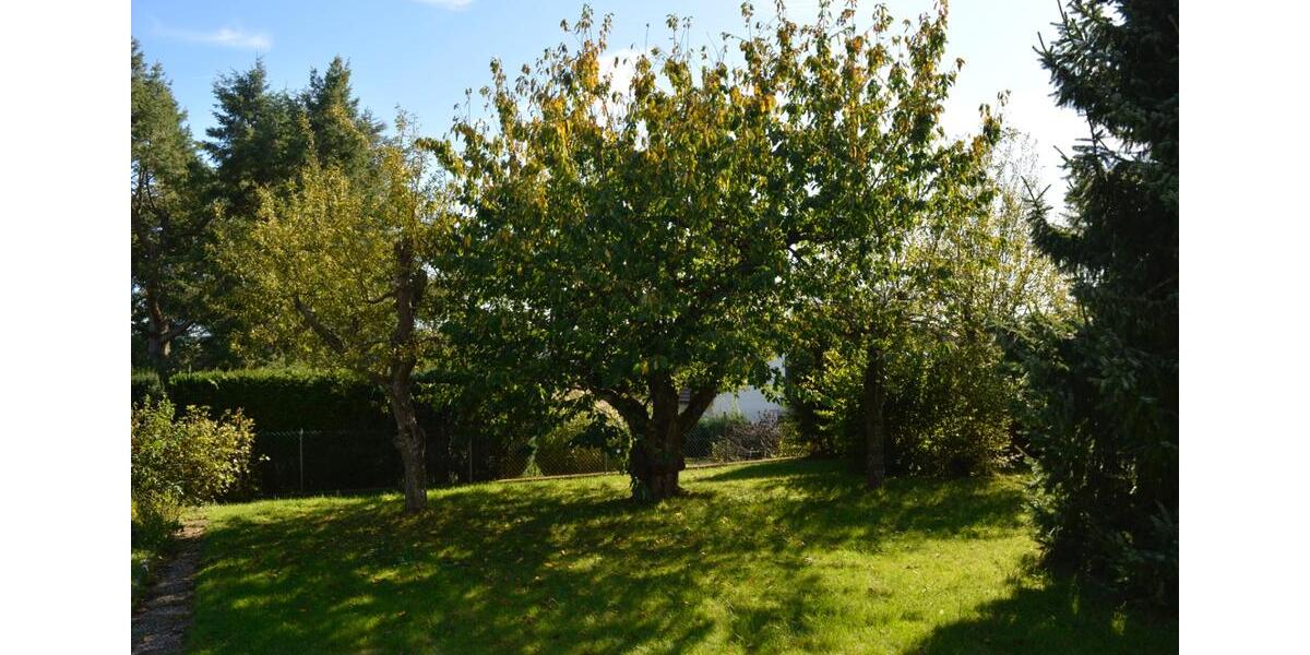 Mehrfamilienhaus, Wohnhaus Staufenberg - 11 Zimmer, 339 m&sup2;, 685.000&euro; | Angebot:24362675