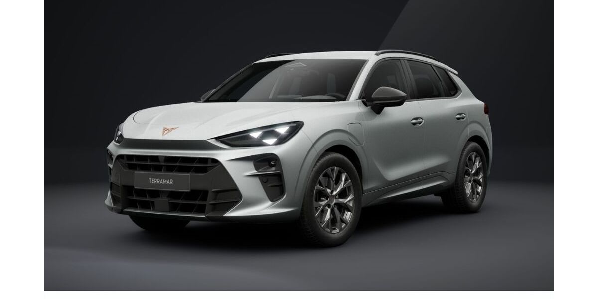 Cupra Terramar 6.000 km 46.485 &euro; Pohlheim 35415