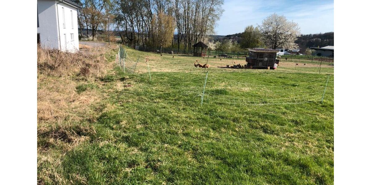 Grundstück Waldbrunn (Westerwald) - 325.000&euro; | Angebot:20006316