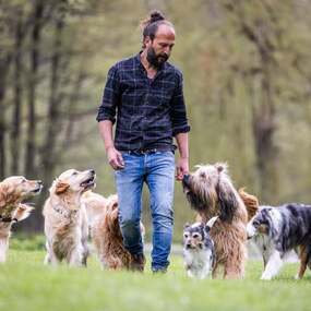 Sami El Ayachi - Der zugewandte Hund! 27.02.2027 Kongresshalle