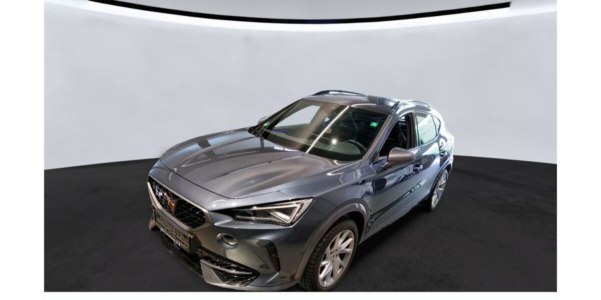 Cupra Formentor 58.544 km 29.985 &euro; Pohlheim 35415