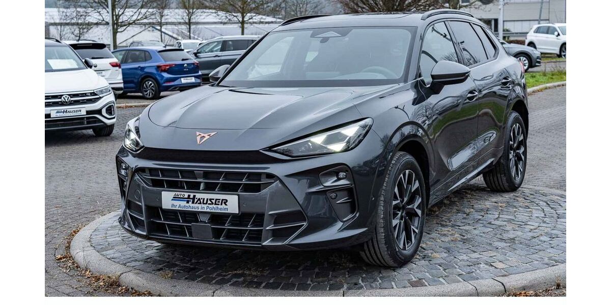 Cupra Terramar 9.000 km 41.485 &euro; Pohlheim 35415