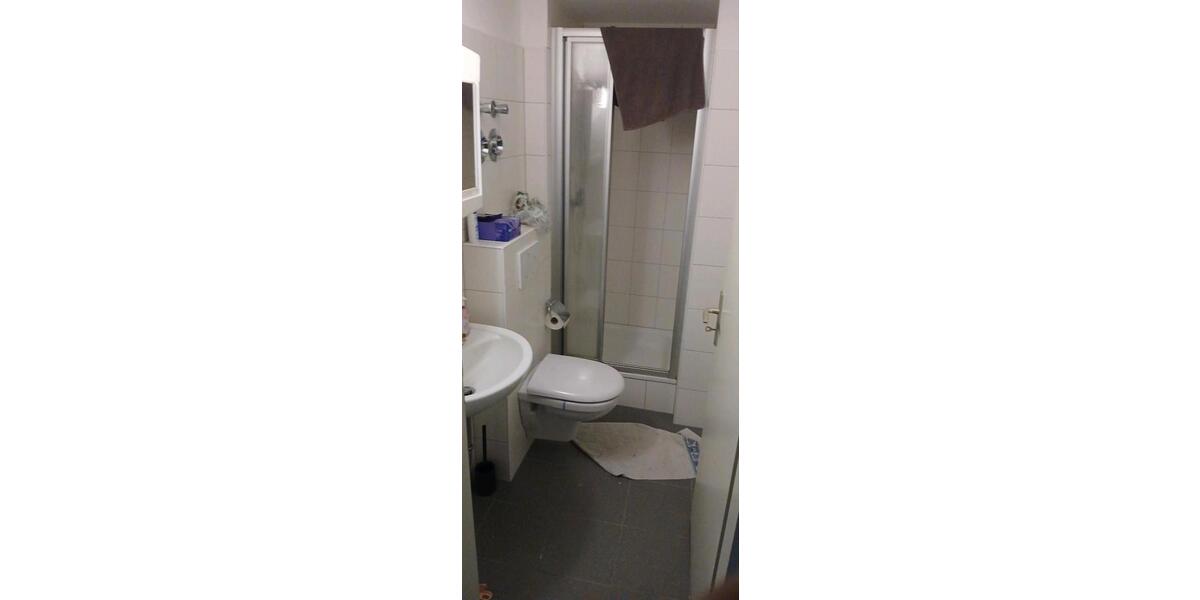 Dachgeschoßwohnung Gießen Schlangenzahl - 1 Zimmer, 18 m&sup2;, 305&euro; | Angebot:26014112