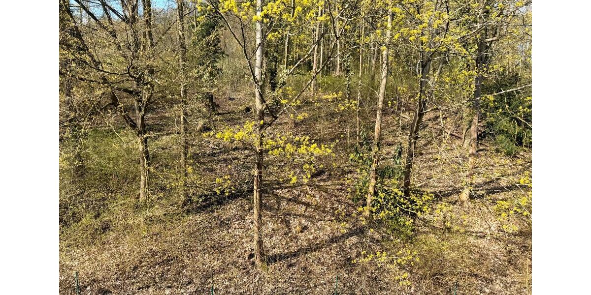 Dachgeschoßwohnung Bad Nauheim - 2 Zimmer, 60 m&sup2;, 290.000&euro; | Angebot:26133723