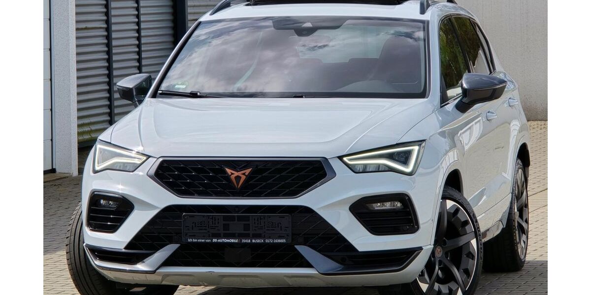 Cupra Ateca 95.202 km 24.999 &euro; Buseck 35418
