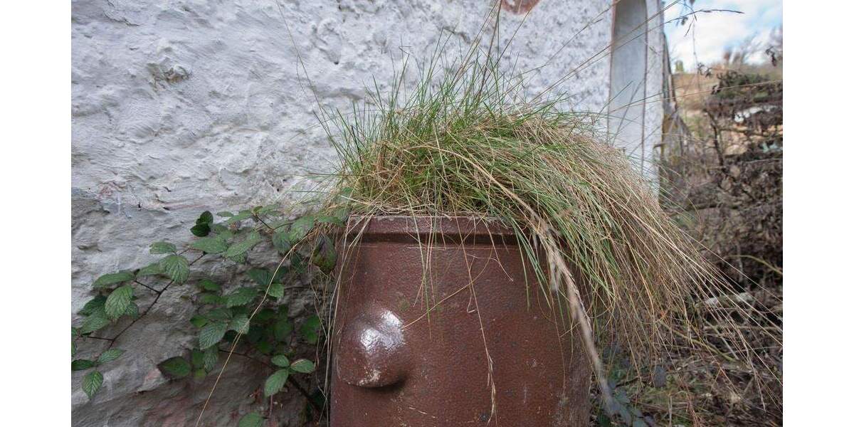 Grundstück Weilrod Gemünden - 98.000&euro; | Angebot:25695760