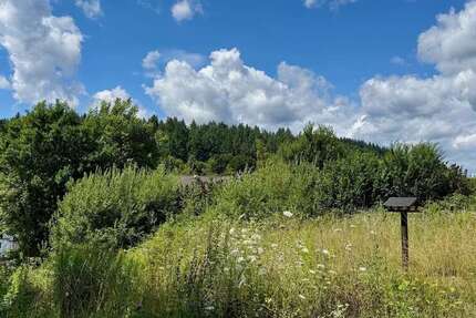 Grundstück Braunfels - 76.000&euro; | Angebot:24032818