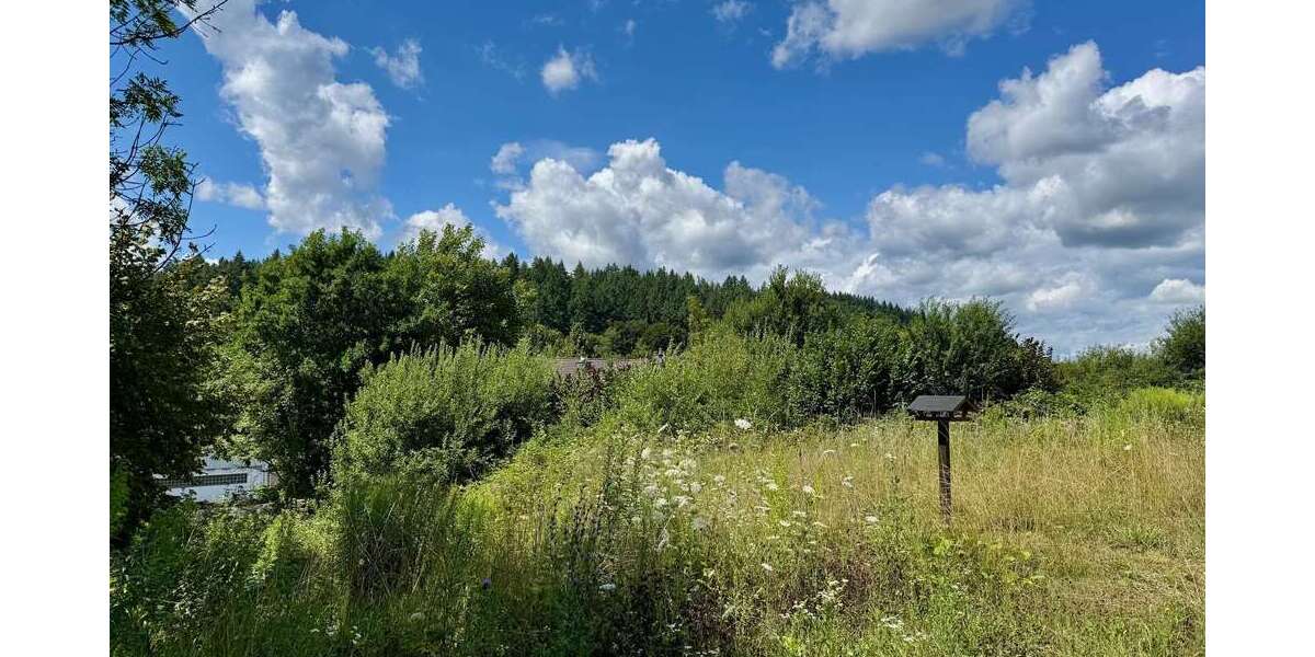 Grundstück Braunfels - 76.000&euro; | Angebot:24032818