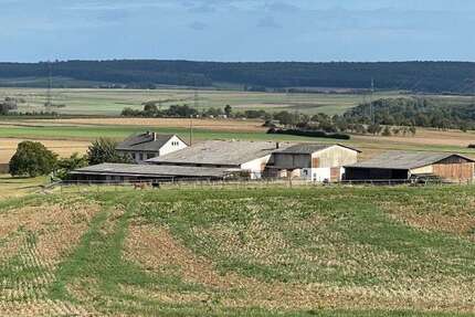 Sonstige Münzenberg - Münzenberg Münzenberg - 785.000&euro; | Angebot:23326836