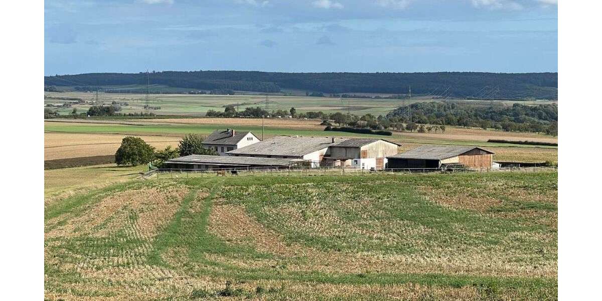 Sonstige Münzenberg - Münzenberg Münzenberg - 785.000&euro; | Angebot:23326836