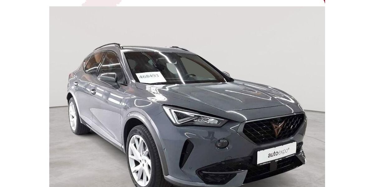 Cupra Formentor 140.034 km 19.390 &euro; Fernwald-Steinbach 35463