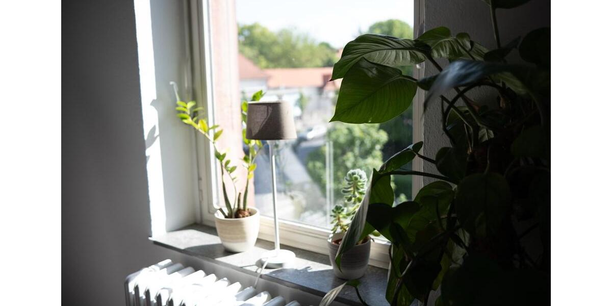 Gewerbeobjekt Ober-Mörlen Mörlen - 20&euro; | Angebot:26042622