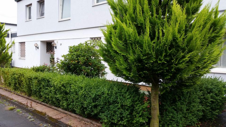 Etagenwohnung Gießen Wieseck - 3 Zimmer, 124 m&sup2;, 1.200&euro; | Angebot:26006071